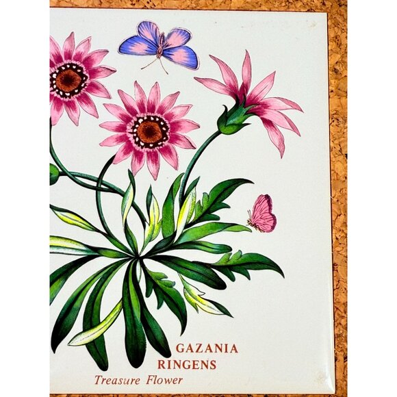 Cork Base Trivet Portmeirion Botanic Garden Gazania Ringens Treasure Flower - Picture 6 of 9